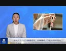 コロナワクチン接種者は、未接種者より死亡率が高い