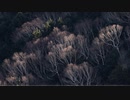 大地に生まれて Born to the Earth 【フリーBGM】
