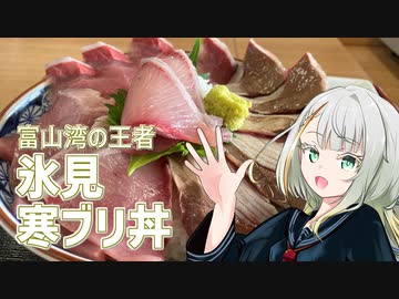 寒ブリ丼を食べよう！！【紡乃世ことねのことちゃんねる】