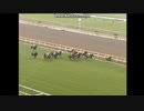 2006 京王杯スプリングＣ(GII)　オレハマッテルゼ