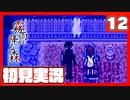 【12】霧雨が降る森で俺が楽しい【初見実況】