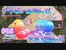 【SUPER MARIO BROS. WONDER】ふしぎなフシギな大冒険_Part5【実況】