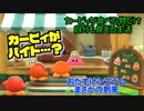 カービィが食べたものしか現実で食べられない生活 9日目【星のカービィ ディスカバリー】