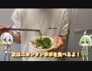外来タンポポと在来タンポポ、どっちの方が美味しい？実際に食べて確かめよう！【タンポポ】　#ずんだもん #voiceroid #タンポポ