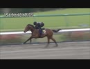 【2024 JRAブリーズアップセール】 騎乗供覧 第2クルー