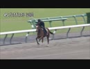 【2024 JRAブリーズアップセール】 騎乗供覧 第4クルー