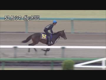 【2024 JRAブリーズアップセール】 騎乗供覧 第5クルー