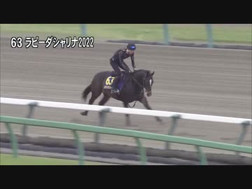 【2024 JRAブリーズアップセール】 騎乗供覧 第6クルー