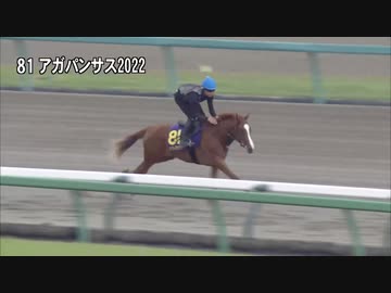 【2024 JRAブリーズアップセール】 騎乗供覧 第7クルー