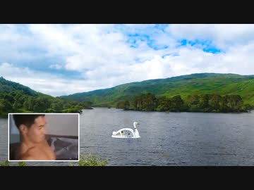 スワンボートを漕ぐ先輩