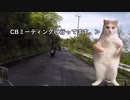 【猫ミーム】CBミーティングに行って来た‼