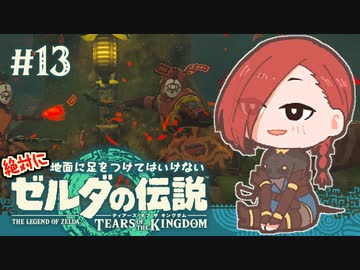 【ゼルダの伝説 TotK】大地に降りずにイーガ団支部を空き巣する執政官ちゃん#13