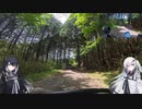 バイクで撮影に行きたい＃8　　また藤の花を探しに　