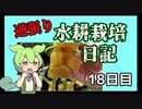 逆張り水耕栽培を楽しむずんだもん（18日目）