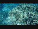 海中