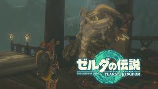 史上最強のバカ勇者による『ゼルダの伝説　ティアーズ　オブ　ザ　キングダム』　part61