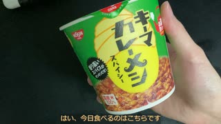 きりたんが食べるだけ【カレーメシ　キーマ】