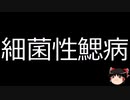 【ゆっくり朗読】ゆっくりさんと不思議な病気 その647