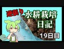 逆張り水耕栽培を楽しむずんだもん（19日目）