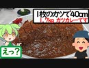 1枚で幅40cmある巨大カツが出てくるデカ盛り食堂【うまいもん ずんだもん 第21回】