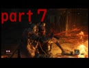 【SEKIRO】友人に勧められたゲームを完全初見でやってみた　part7　隠された過去