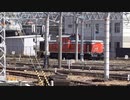 【どこから】DD51単機京都通過(20240509)【どこへ】