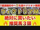 【ヴィクトリアマイル2024 予想】ナミュール過去最高のデキ？プロが"全頭診断"から導く絶好の3頭！