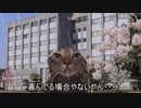 猫ミームで災害派遣その1