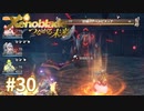託された希望を胸に ゼノブレイドDE-つながる未来-を初見実況　part30
