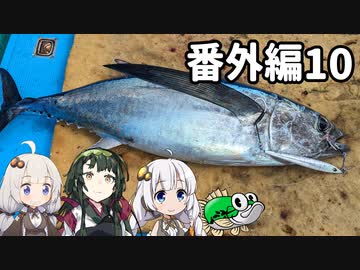 あかりちゃんと行くカヤックフィッシング番外編10