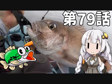 あかりちゃんと行くカヤックフィッシング第79話