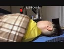 【コメント有】ニンポー 2024年05月08日18時48分「すまん」寝配信②【ニコ生録画】(5／8 ニコ 2枠目)