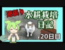 逆張り水耕栽培を楽しむずんだもん（20日目）