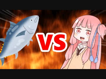 茜ちゃんVSマグロ