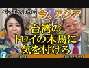「台湾のトロイの木馬に気を付けろ」ぺマギャルポ AJER2024.5.10(7)