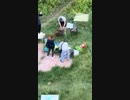 ホモと見る近所が爆撃されてもBBQをするウクライナ人