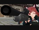 【Touhou MMD】ライフル銃の免許を取りに行こう【東方MMD紙芝居】