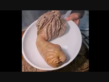 ホモと見る限界突破したトルコ料理