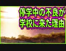 【エロゲ実況】33　幻想的な景色へのリアクションがゴミカス過ぎる主人公【金色ラブリッチェ】