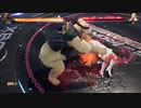 鉄拳8　リリ　