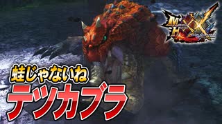 【MHXX/HD】オタマジャクシじゃねぇか【モンスターハンターダブルクロス】#3