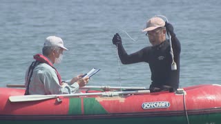 今年の海水浴は大丈夫？　海水浴場の水質調査　油膜・透明度など調べる　福岡県内の自治体が調査