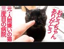 6年間心を閉ざしてた猫、3度目の病院搬送に挑む
