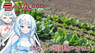 2024年5月10日　農作業日誌P991　あれ？思ったより売れる野菜が無い模様？