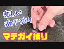 潮干狩り【マテガイ掘り】（嫌がる娘に無理やり弁当を持たせてみた息子編）