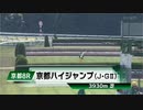 【競馬】2024年 第26回京都ハイジャンプ(J・GⅡ)【サンデイビス / 上野翔】