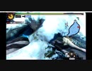 【MH4G】 突進ランス☆特殊会心(睡眠)スペシャル☆がｷﾓﾁｴｴｴｴｴｴ