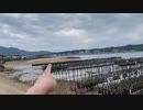 悪い虫さんによる注意喚起