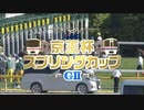 【競馬】2024年 第69回京王杯スプリングカップ(GⅡ)【ウインマーベル / 松山弘平】