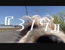 319 / 烏兎徒然 feat.可不